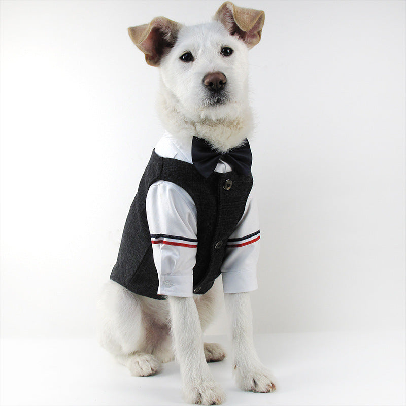 Formal Suit for Pets – Elite Edition