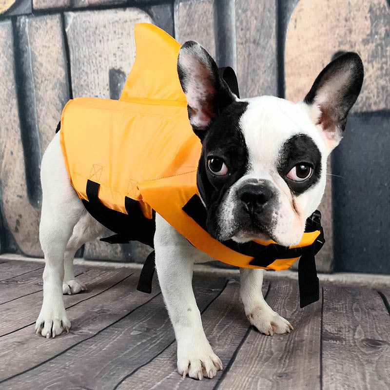 Shark Fin Dog Life Jacket – Swim Safe, Look Awesome