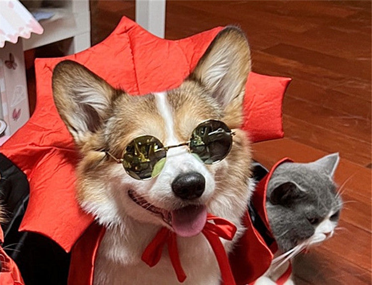 Vampire Pet Costume – Dracula Edition