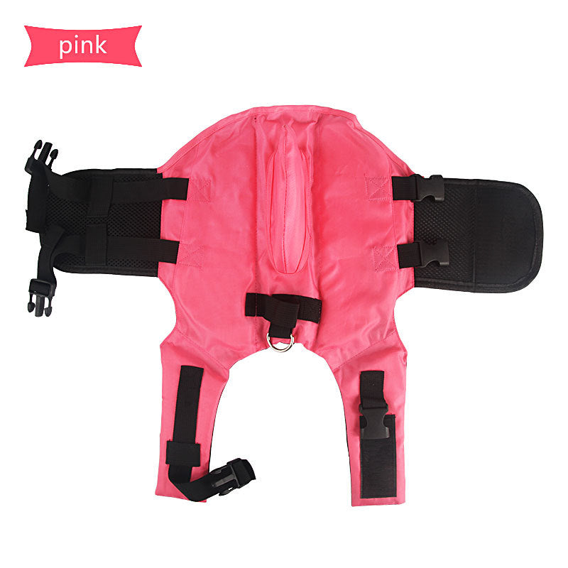 Shark Fin Dog Life Jacket – Swim Safe, Look Awesome