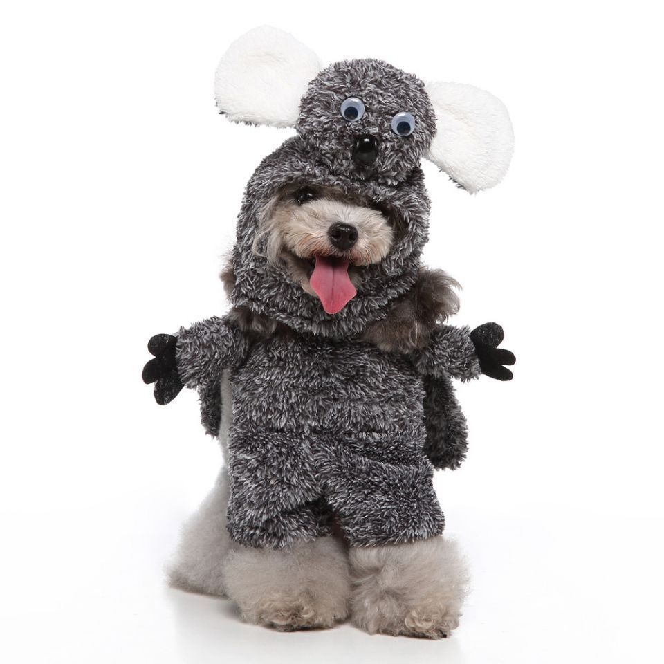 Character Pet Costume Collection – Funny & Adorable Looks for Every Pup