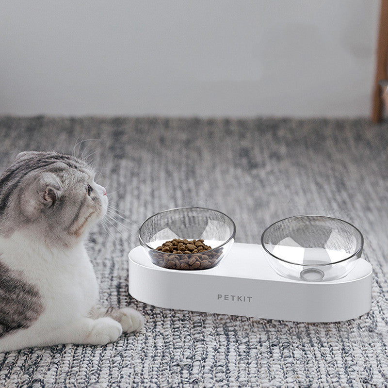 Premium Adjustable Stainless Steel Double Pet Bowl – PAWSPIRE™ Collection