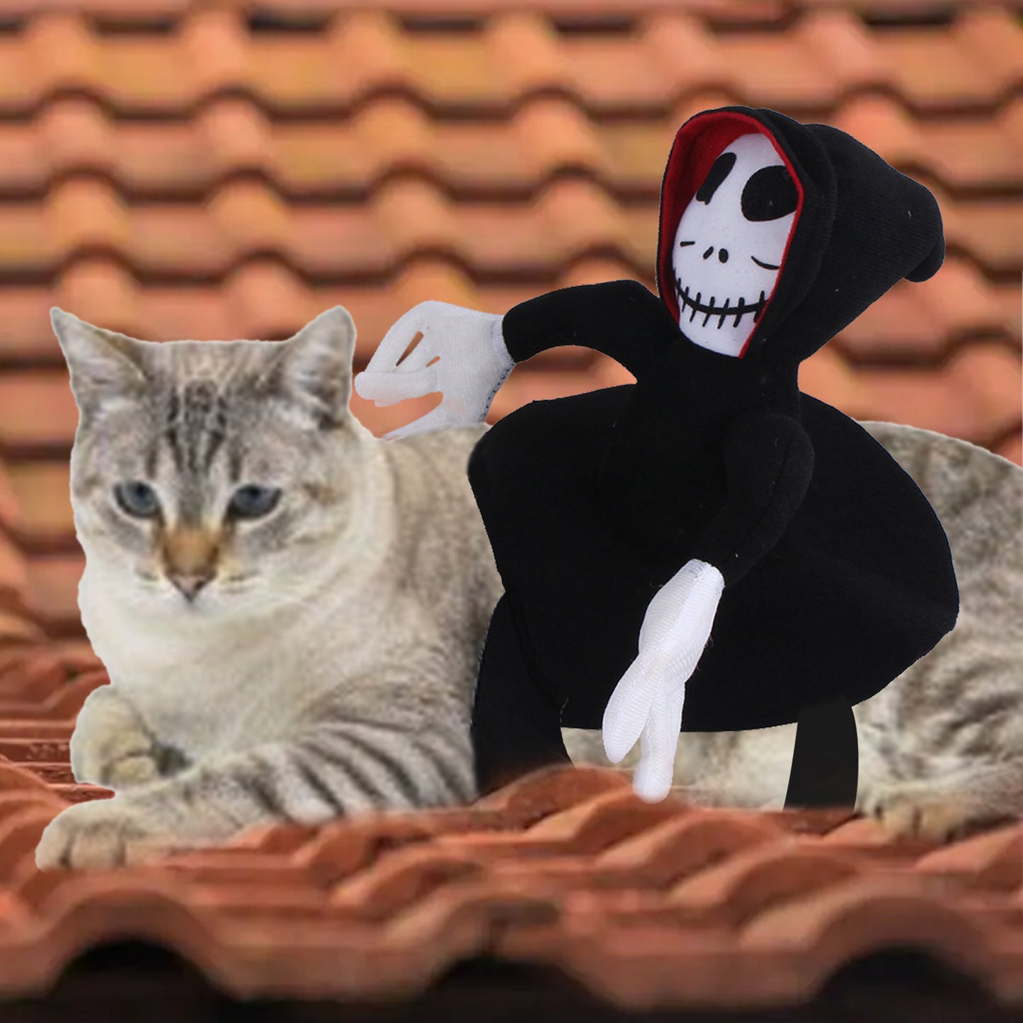 Grim Reaper Pet Costume – Ride of the Dead