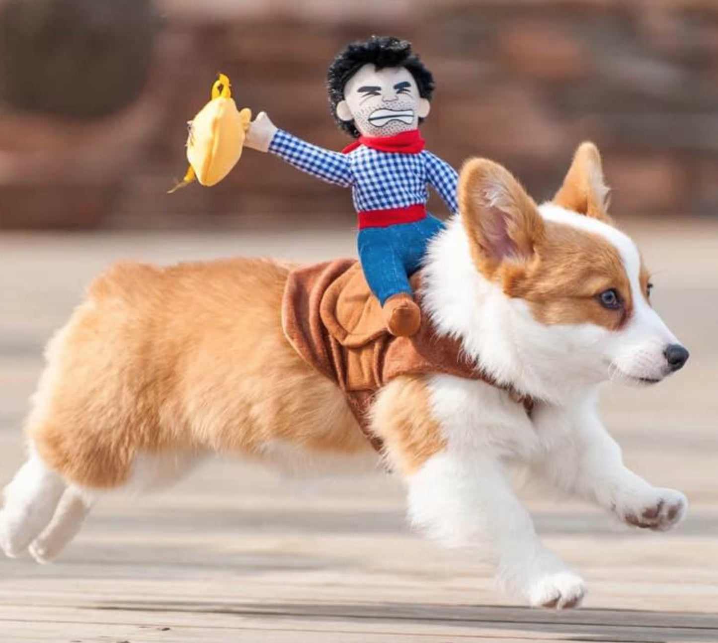 Cowboy Rider Dog Costume – Funny Rodeo Outfit for Pets