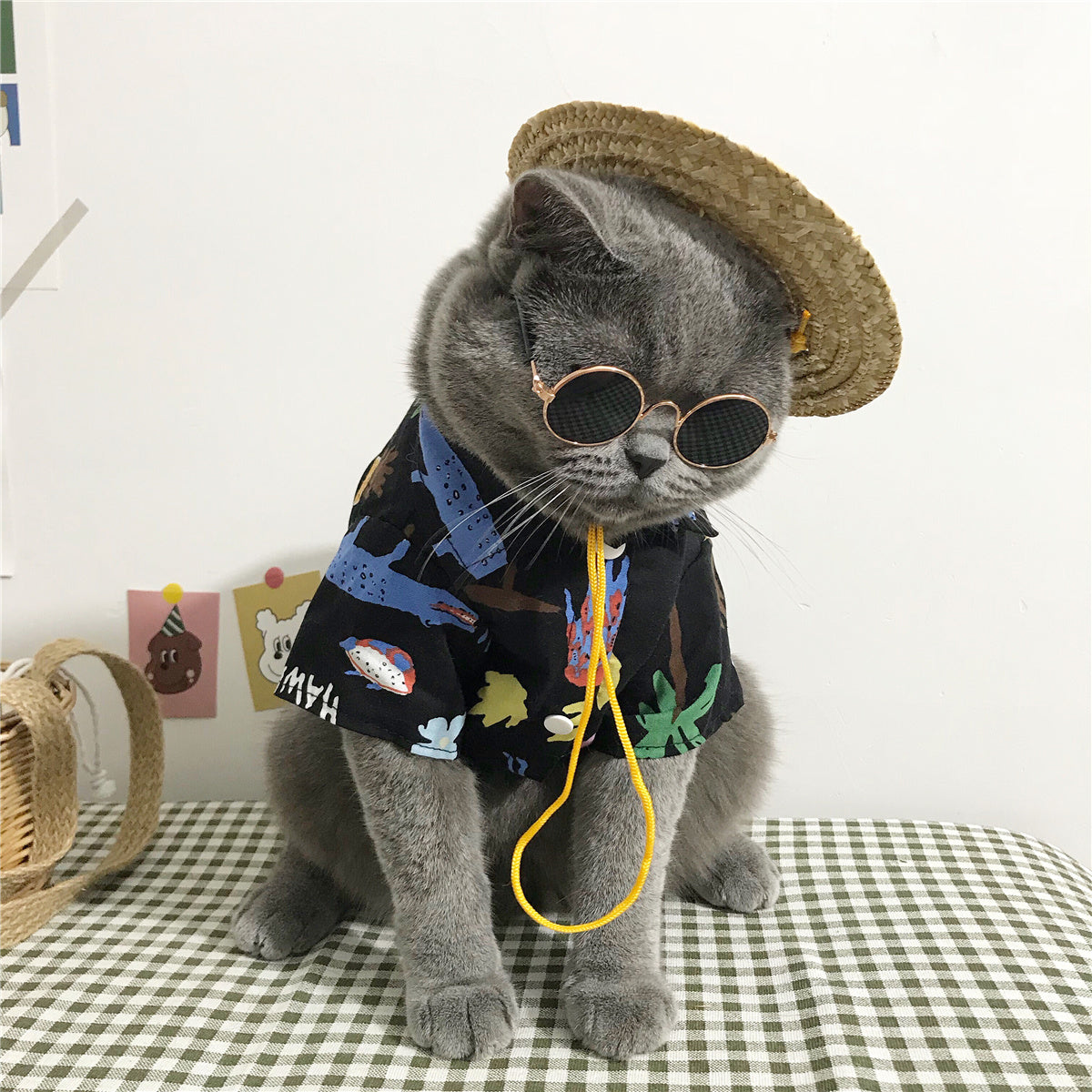 Tropical Vacation Shirt for Cats – Cool Hawaiian Style Pet Outfit