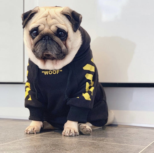 StreetStyle Velvet Pet Hoodie – Limited Edition by Pawspire™