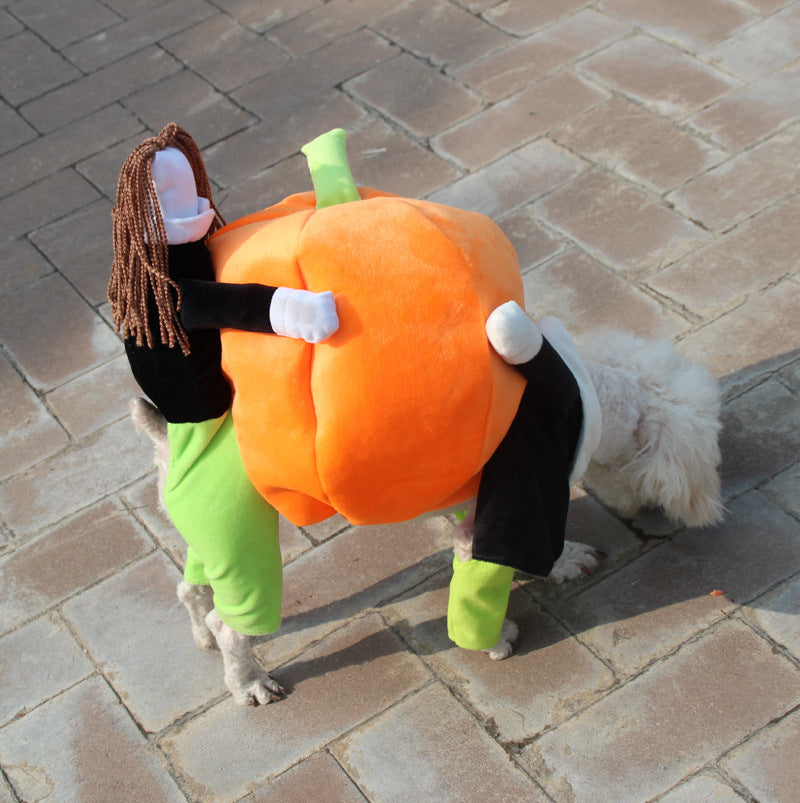 Pumpkin Rider Costume – Spooky & Funny Halloween Vibes
