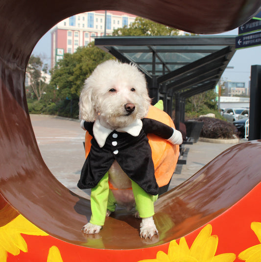 Pumpkin Rider Costume – Spooky & Funny Halloween Vibes