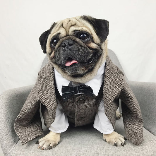 Formal Suit for Pets – Elite Edition