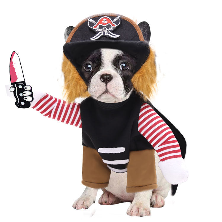 Pirate Pet Costume – Ahoy Matey Edition