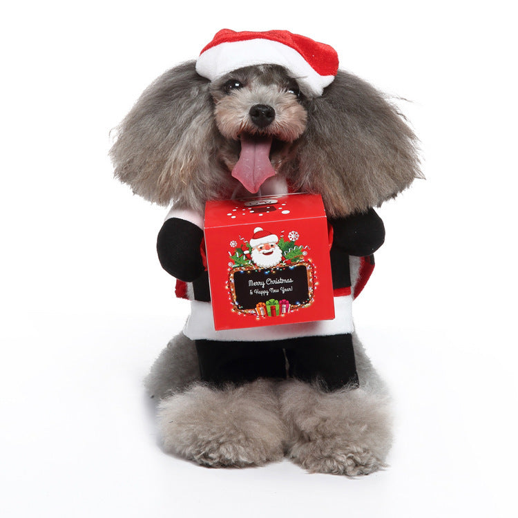 Character Pet Costume Collection – Funny & Adorable Looks for Every Pup