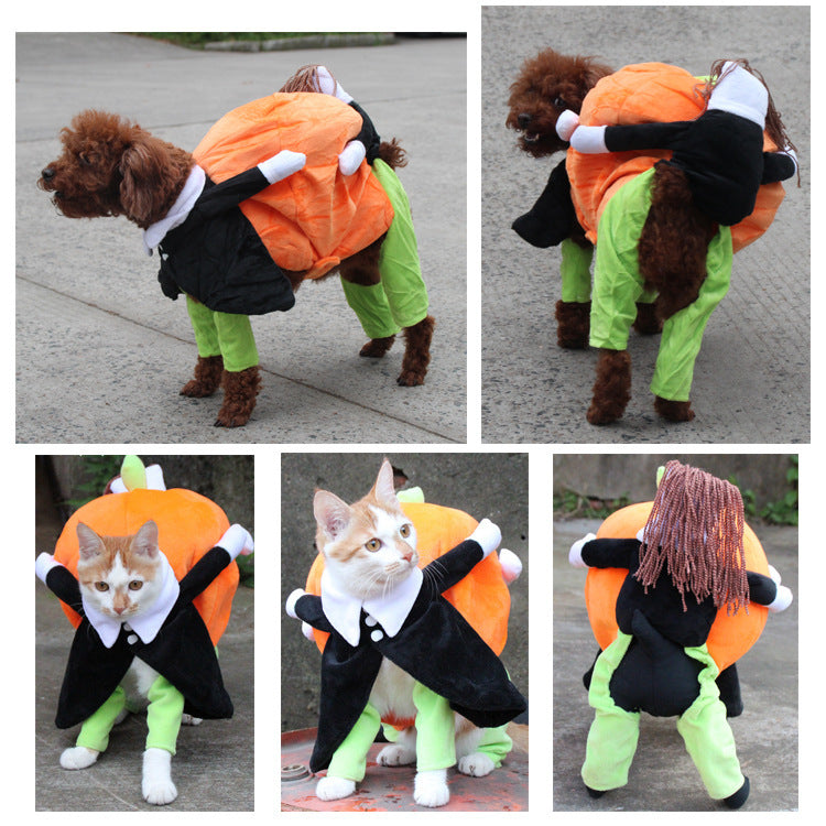 Pumpkin Rider Costume – Spooky & Funny Halloween Vibes