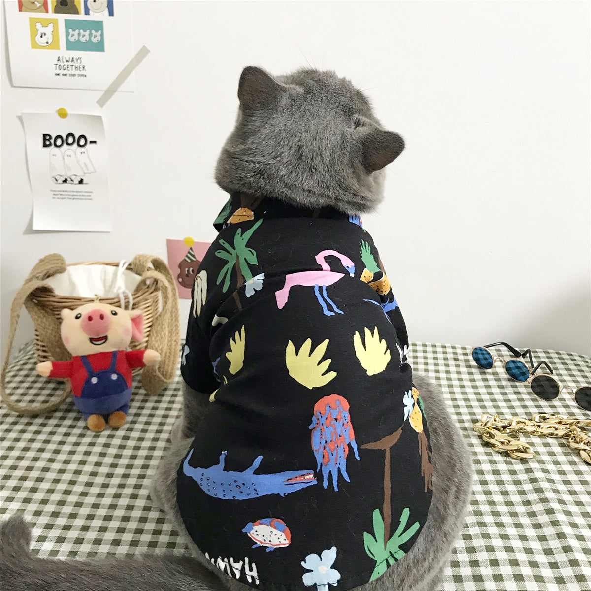 Tropical Vacation Shirt for Cats – Cool Hawaiian Style Pet Outfit