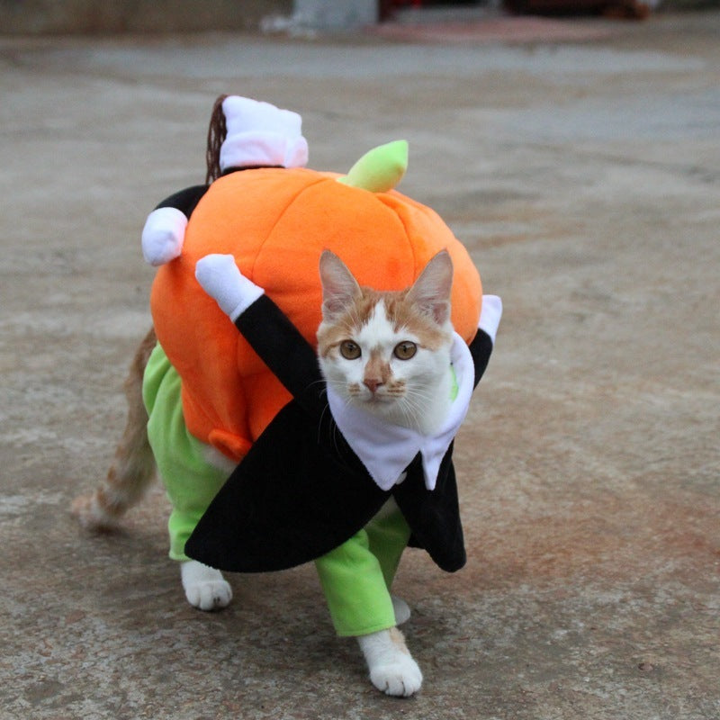Pumpkin Rider Costume – Spooky & Funny Halloween Vibes