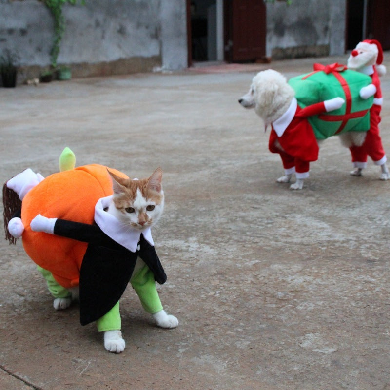 Pumpkin Rider Costume – Spooky & Funny Halloween Vibes