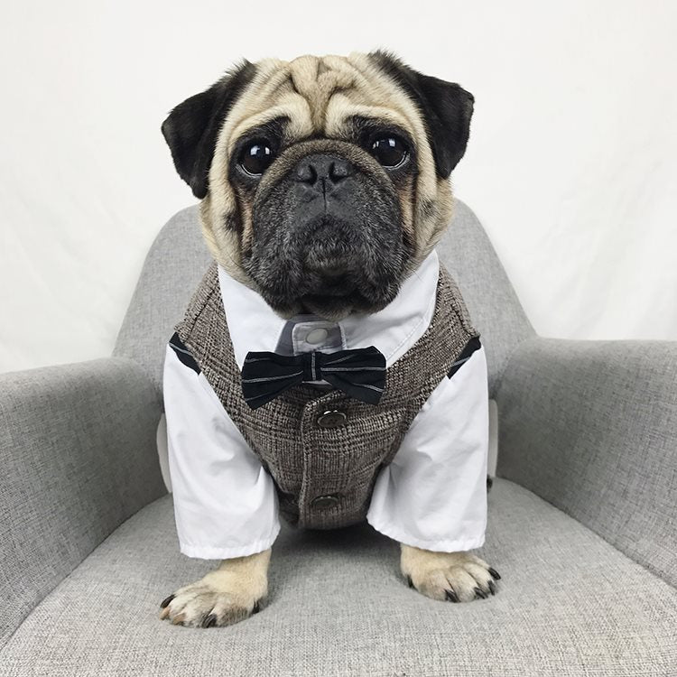 Formal Suit for Pets – Elite Edition
