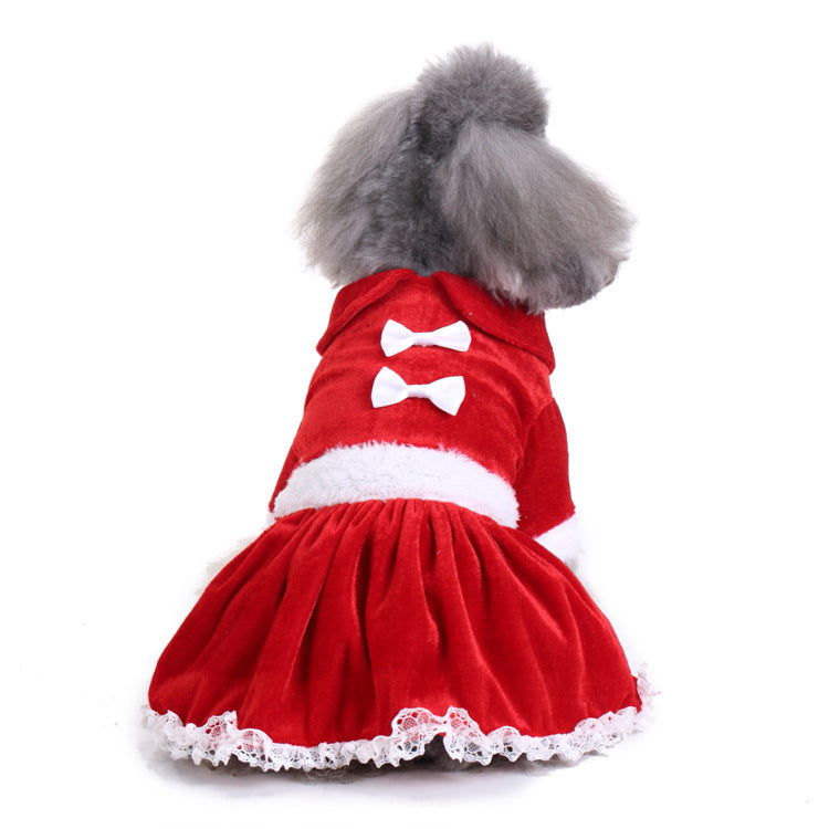 Themed Pet Costumes – Iconic, Fun & Totally Pawsome