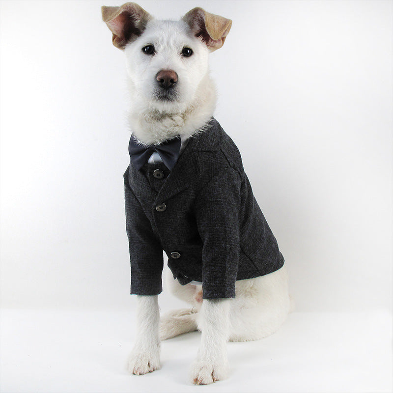 Formal Suit for Pets – Elite Edition