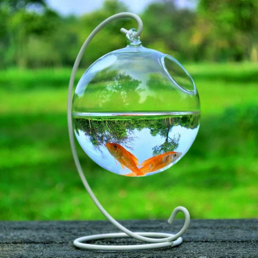 Handmade Glass Sphere Hanging Fish Tank