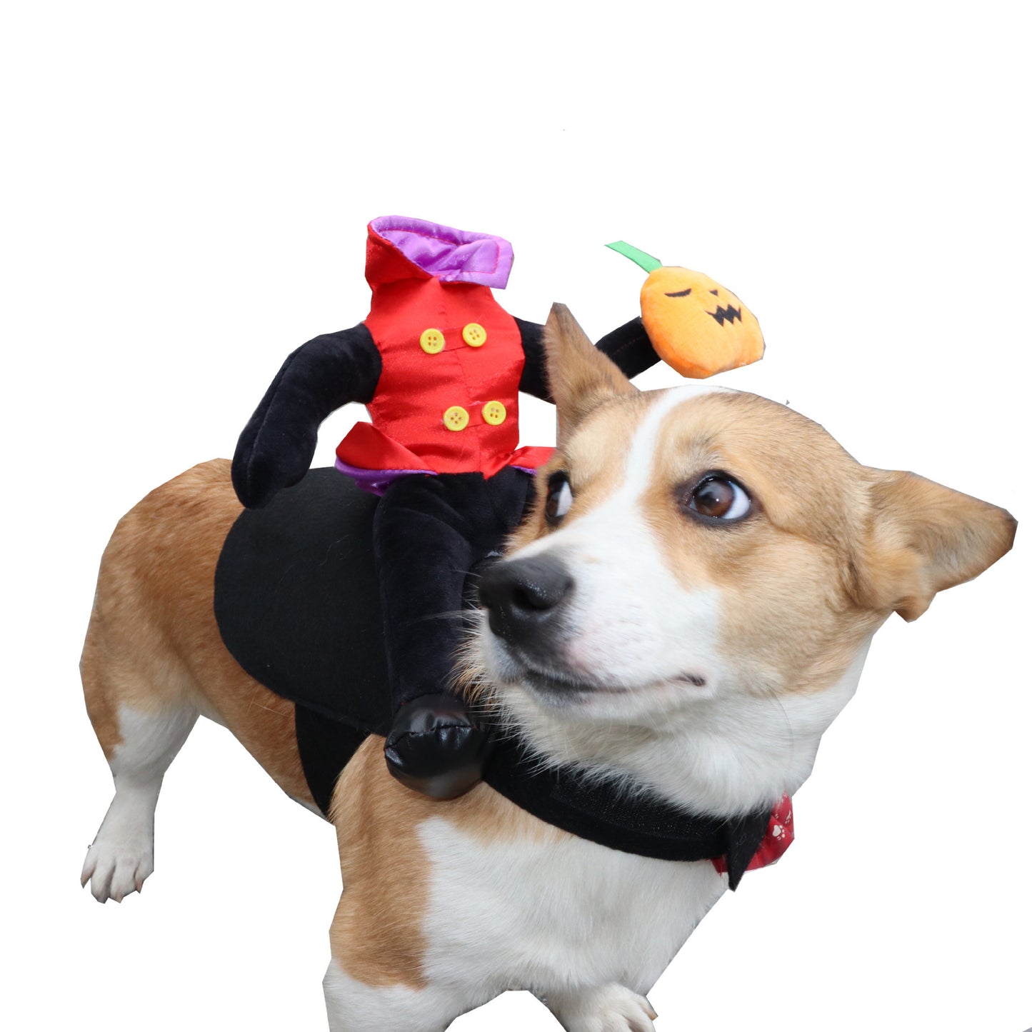 Pumpkin Rider Costume – Haunted Hitchhiker Edition