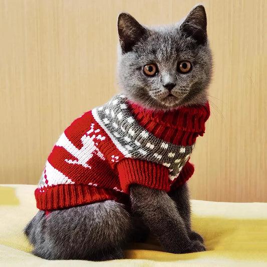 Cat Costume Winter Warm Pet Clothes Pawspire edition
