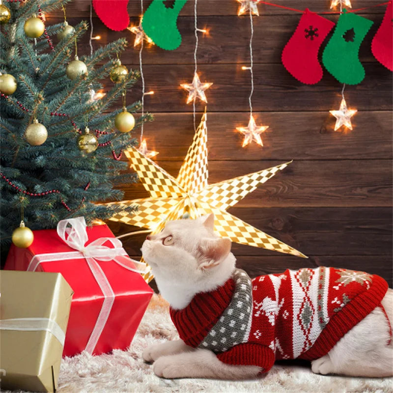 Cat Costume Winter Warm Pet Clothes Pawspire edition