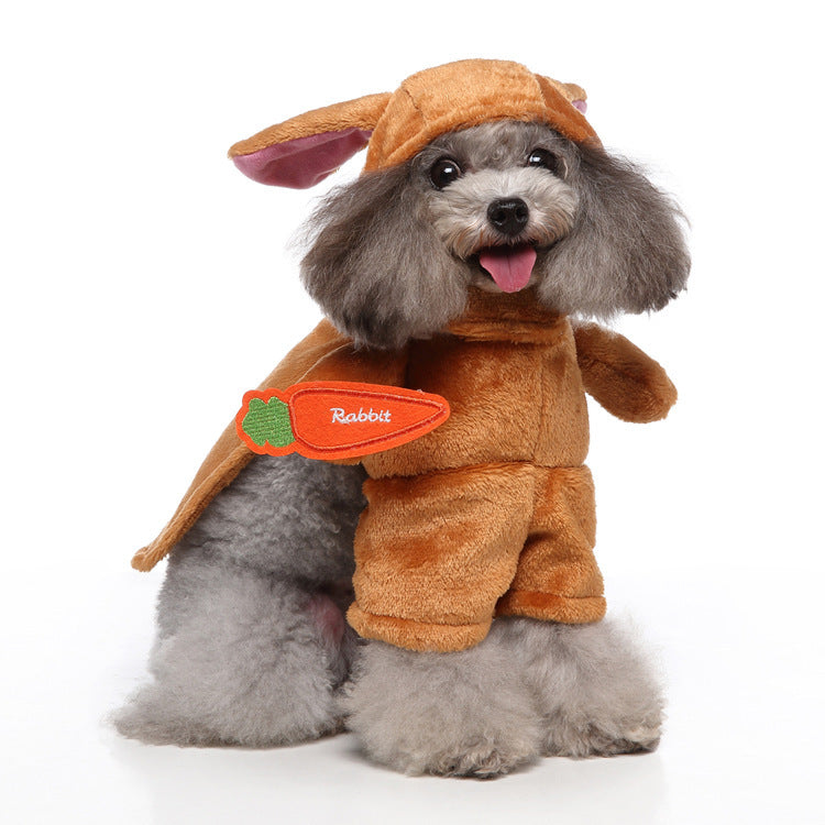 Character Pet Costume Collection – Funny & Adorable Looks for Every Pup