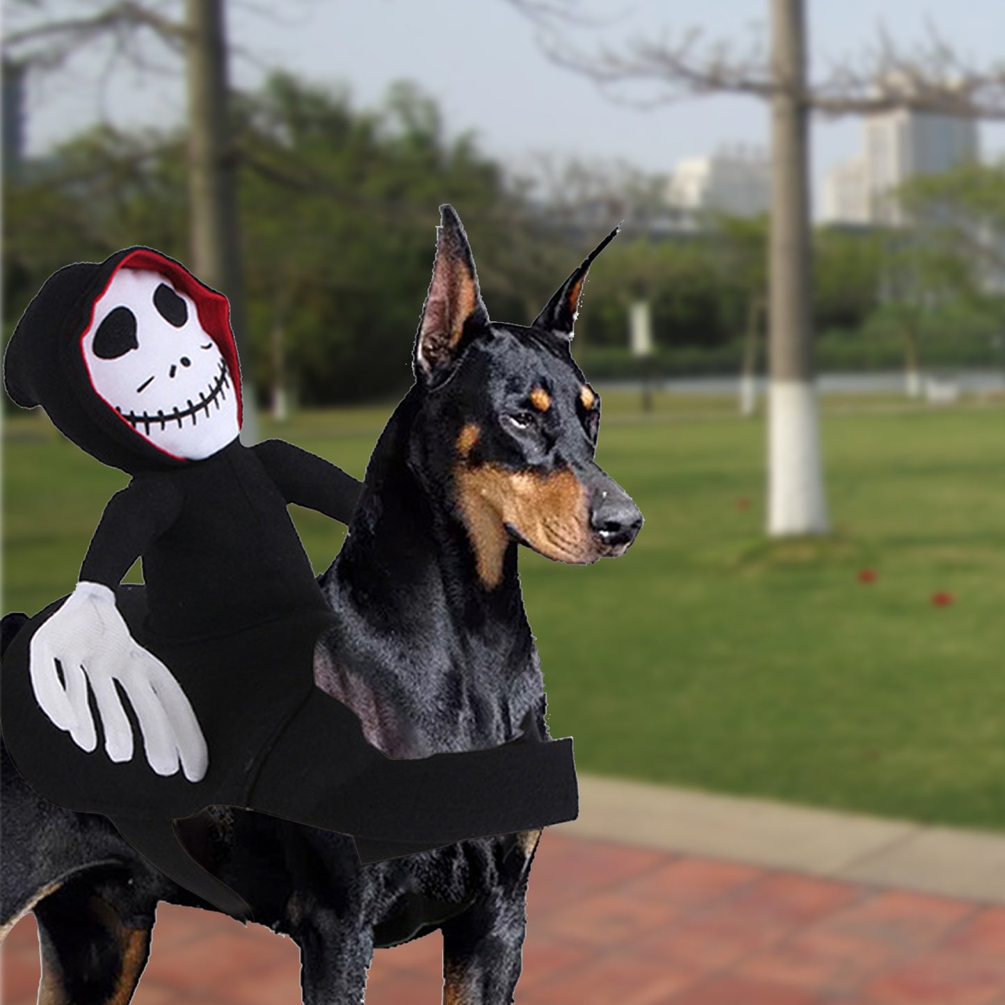 Grim Reaper Pet Costume – Ride of the Dead