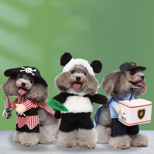 Character Pet Costume Collection – Funny & Adorable Looks for Every Pup
