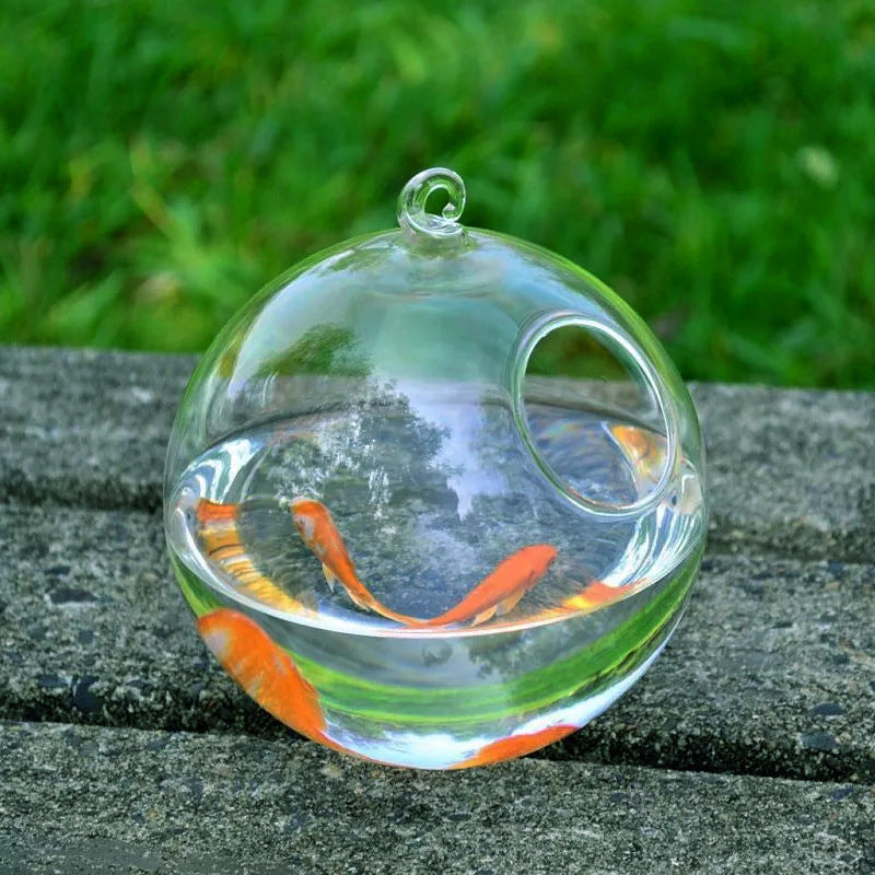 Handmade Glass Sphere Hanging Fish Tank